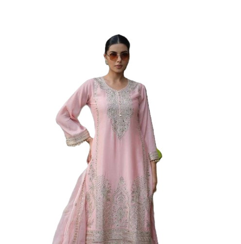 Ladies Wear - Young girl in traditional Indian attire